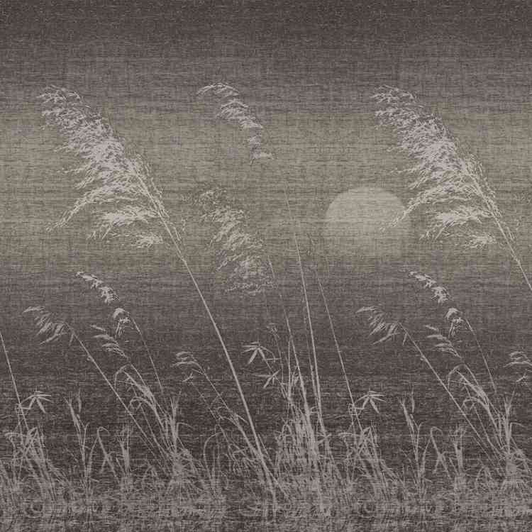 Gli Alisei from Wall&decoat Pure Interiors 