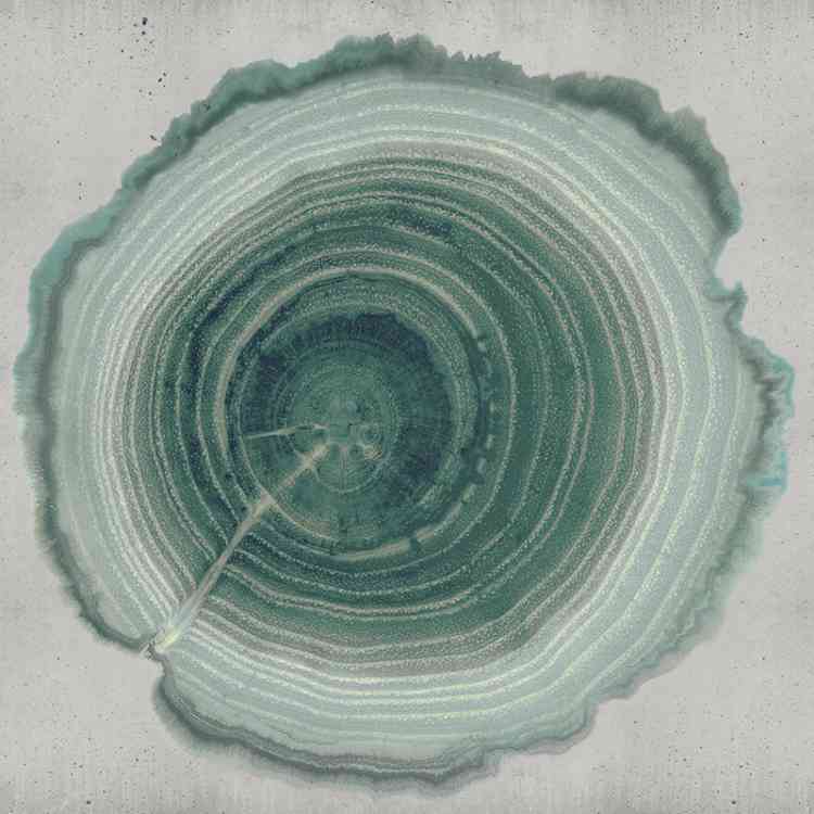 Tree of Life from Wall&decoat Pure Interiors 