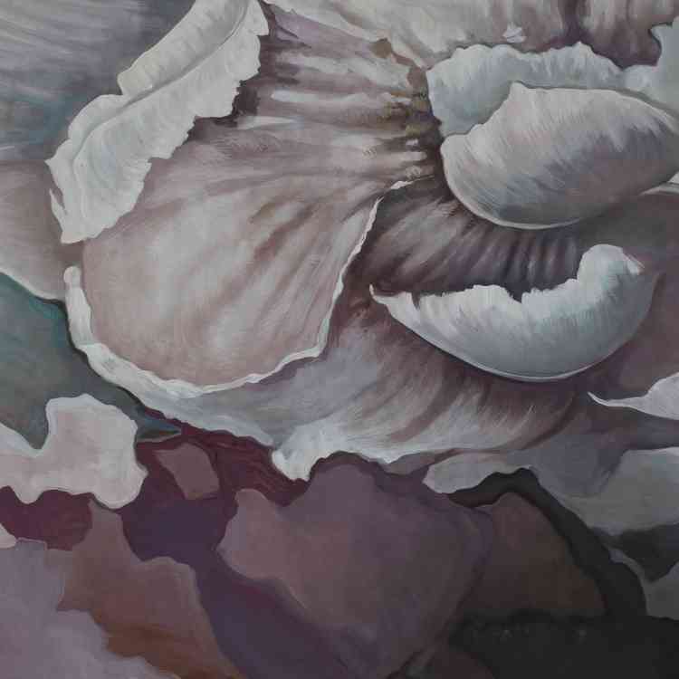 Ingenua from Wall&decoat Pure Interiors 