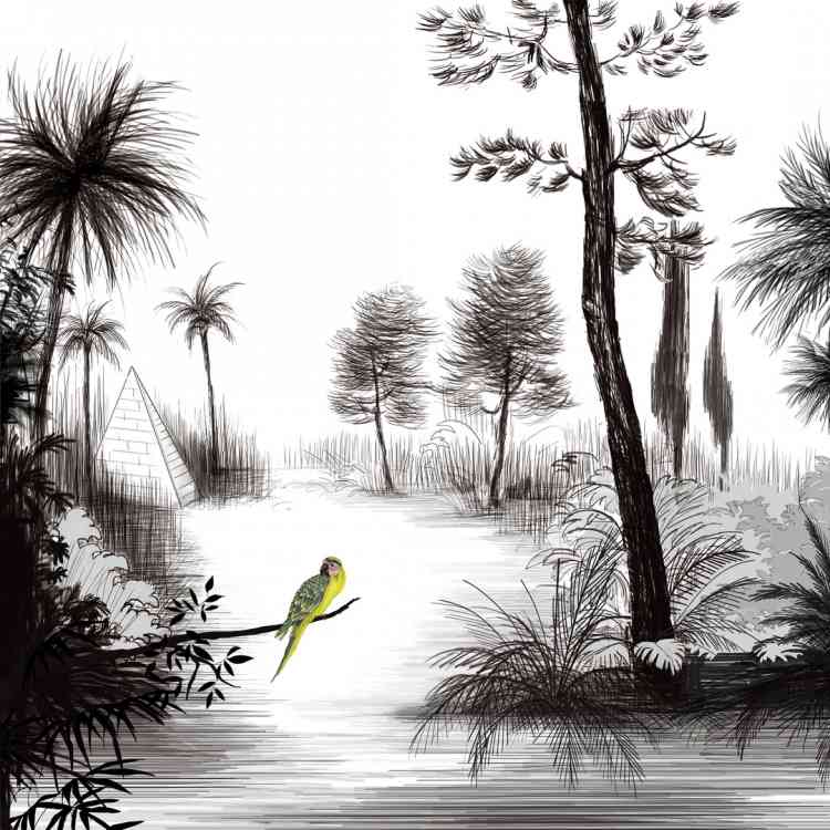 Imaginary Paradise by Wall&deco from Pure Interiors | 
