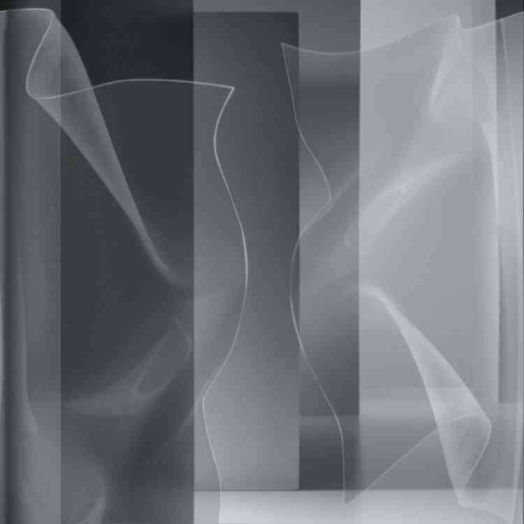 Tip toe by Wall&deco from Pure Interiors | 