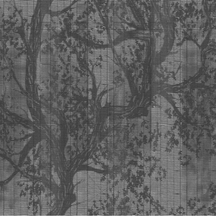 Woodpecker from Wall&deco at Pure Interiors