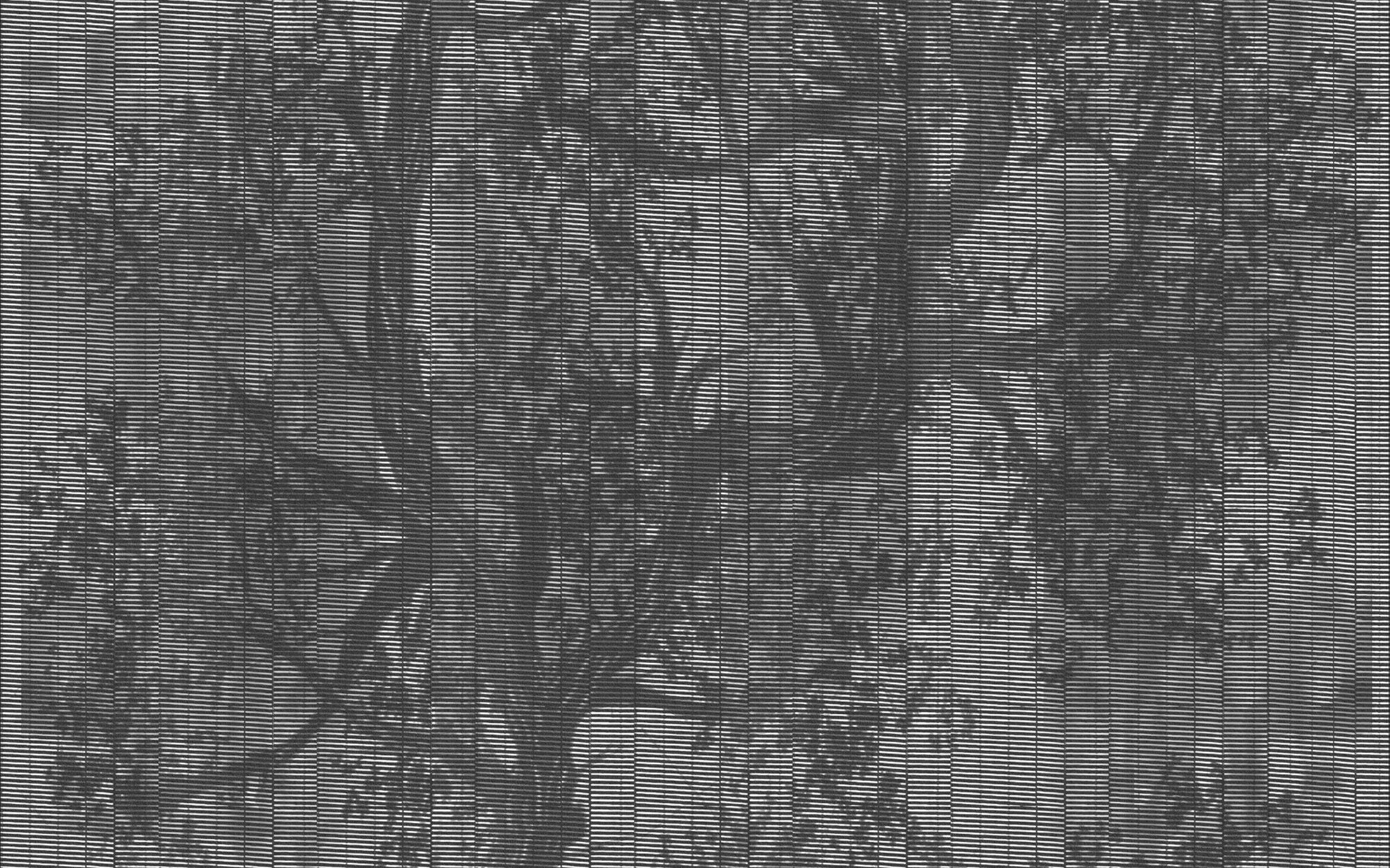 Woodpecker. Wallpaper - Outdoor/Wet from Wall&deco at Pure Interiors