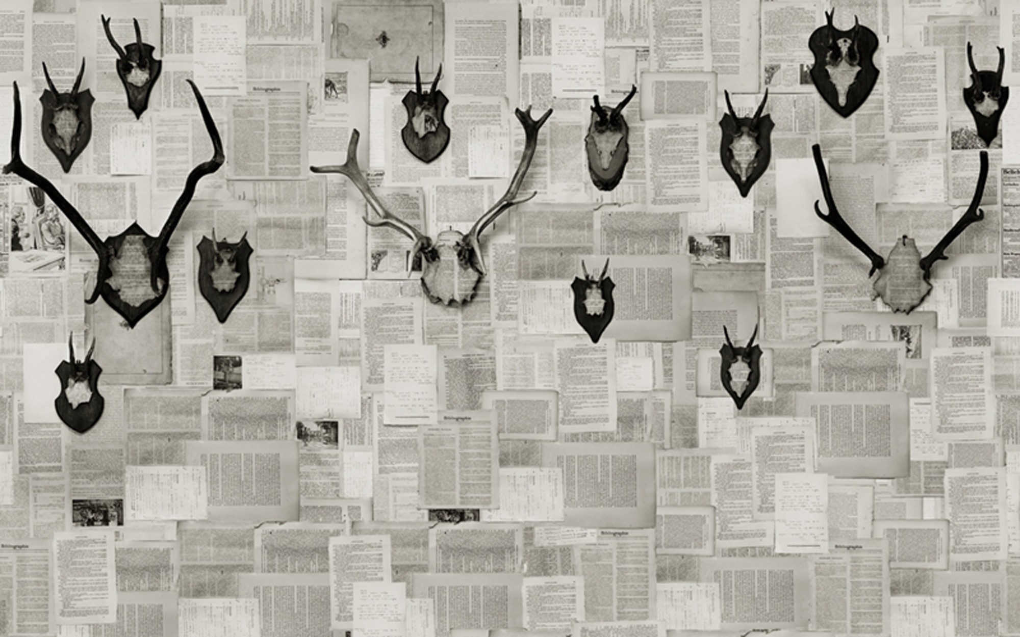 Alpenjager. Wallpaper - Indoor from Wall&deco at Pure Interiors