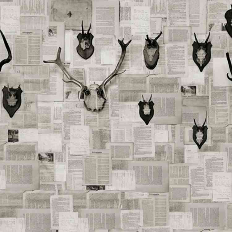 Alpenjager from Wall&decoat Pure Interiors