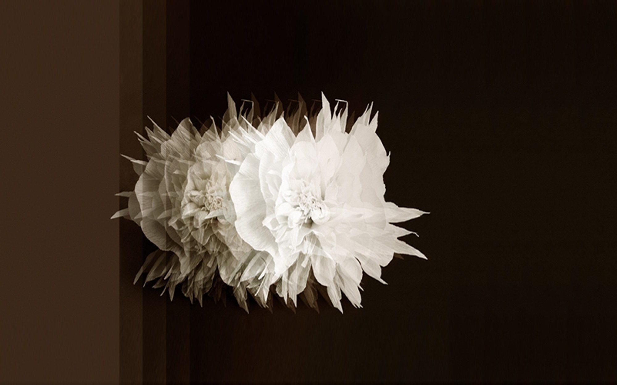 Cinetica. Wallpaper - Indoor from Wall&deco at Pure Interiors