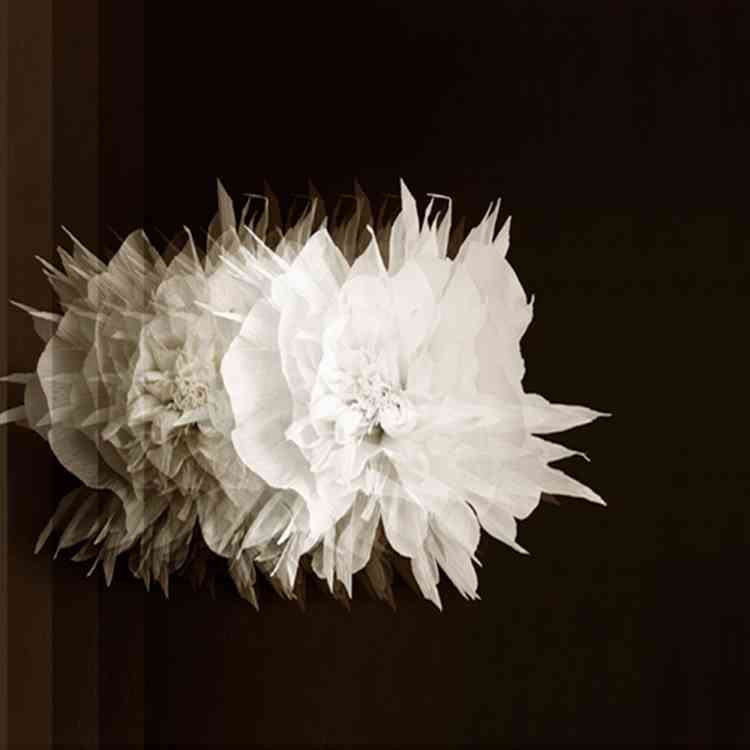 Cinetica from Wall&decoat Pure Interiors