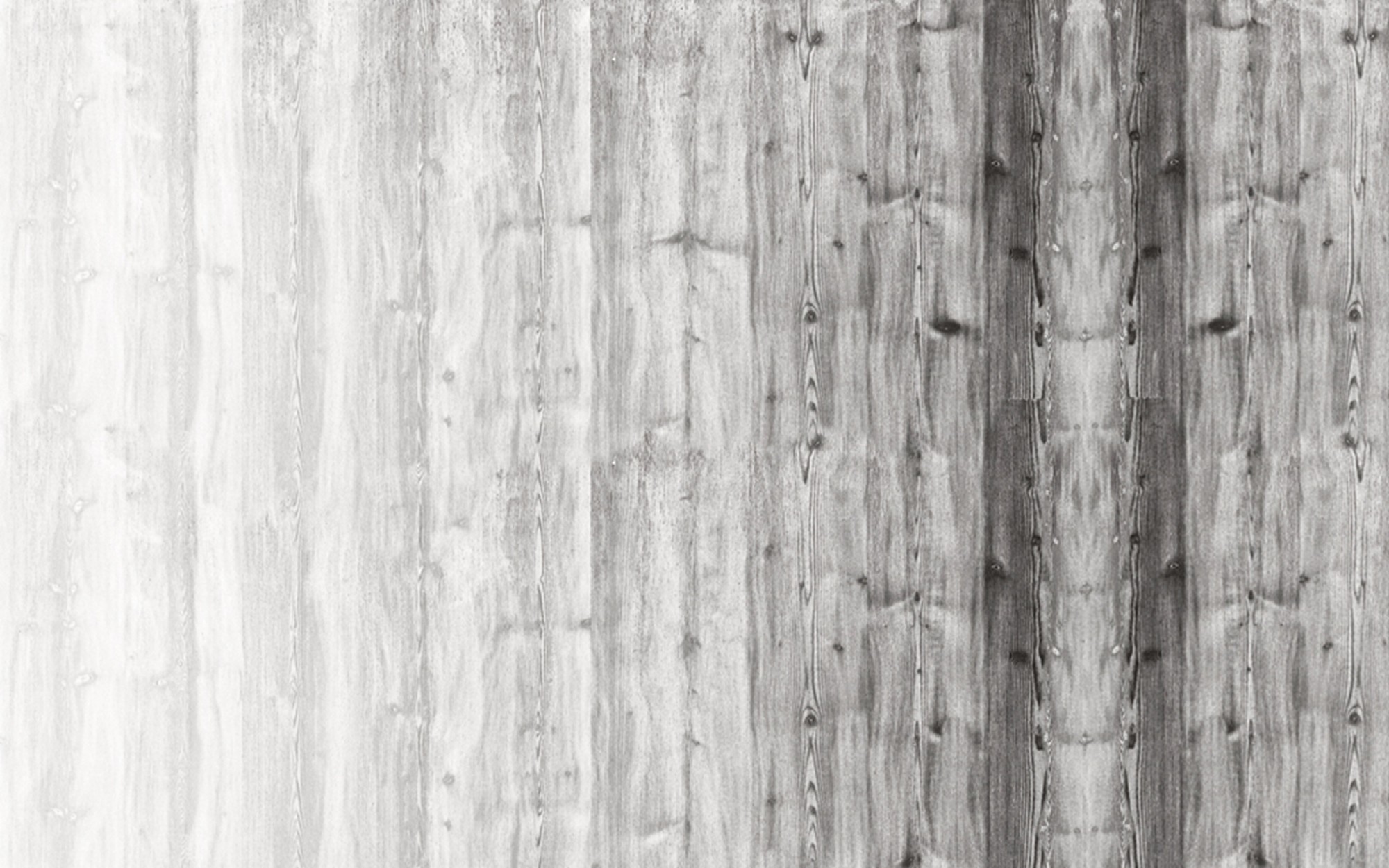 Gradient. Wallpaper - Indoor from Wall&deco at Pure Interiors