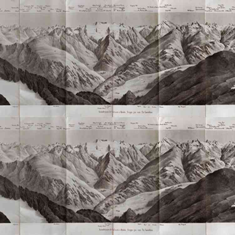 In Vetta from Wall&decoat Pure Interiors