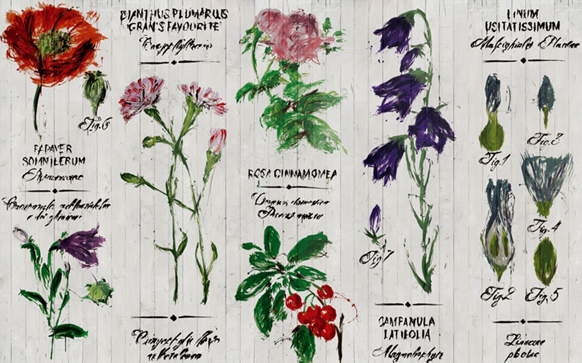 Pianthus. Wallpaper - Indoor from Wall&deco at Pure Interiors