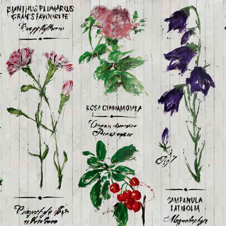 Pianthus from Wall&decoat Pure Interiors