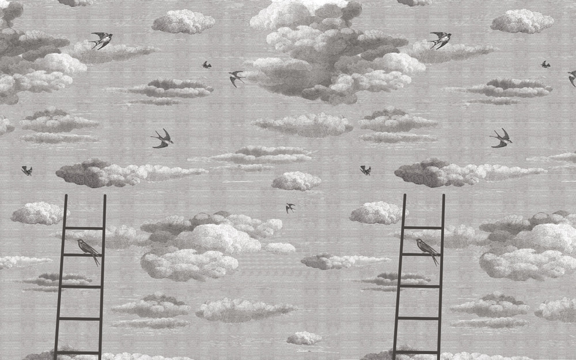 Primavera. Wallpaper - Indoor from Wall&deco at Pure Interiors