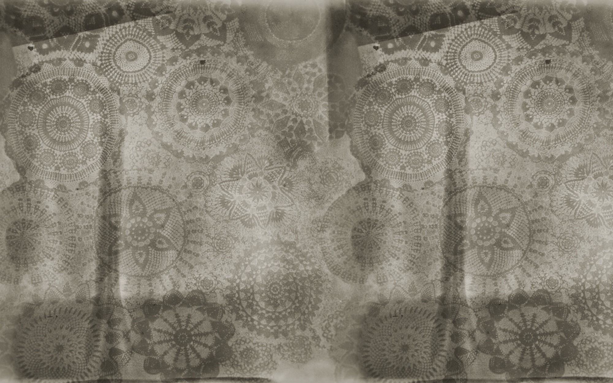 Stella. Wallpaper - Indoor from Wall&deco at Pure Interiors