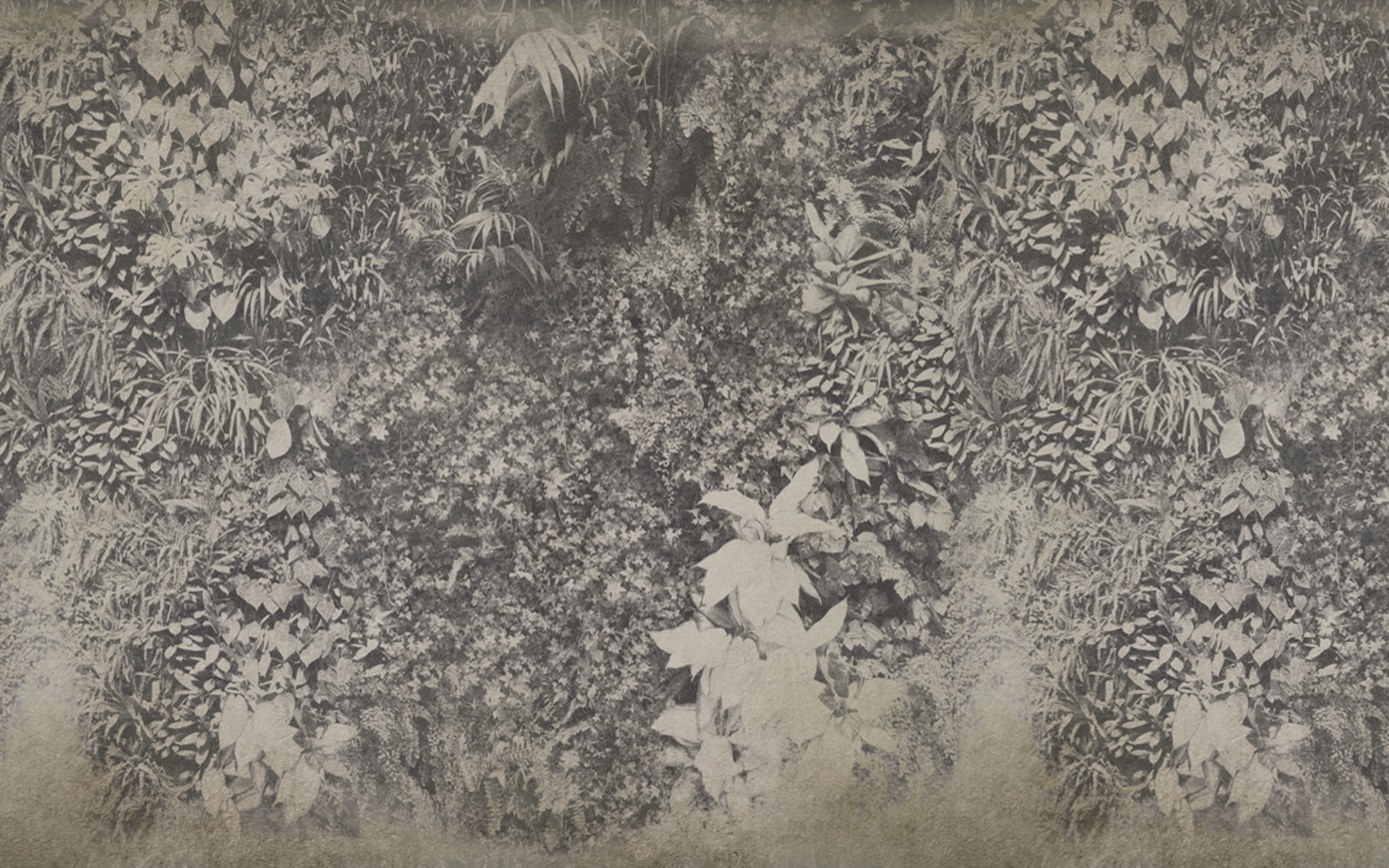 Vertical Green. Wallpaper - Indoor from Wall&deco at Pure Interiors