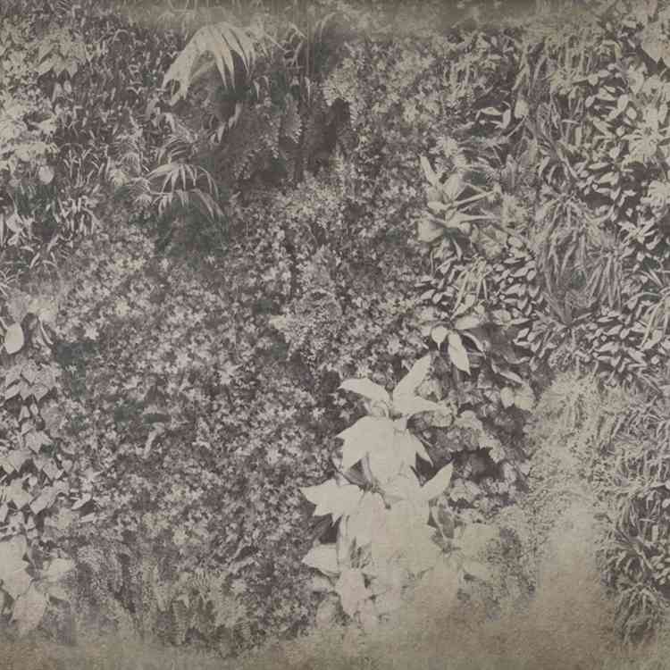 Vertical Green from Wall&decoat Pure Interiors