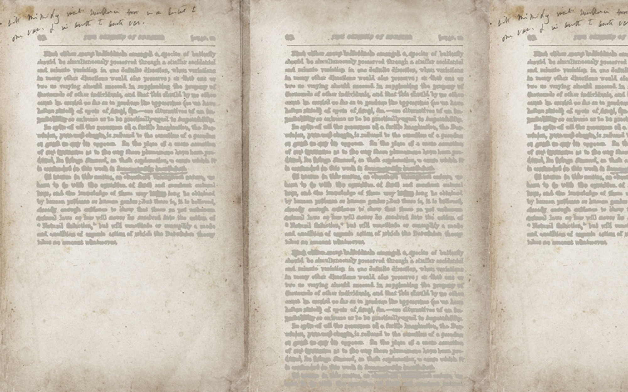 Wordless. Wallpaper - Indoor from Wall&deco at Pure Interiors