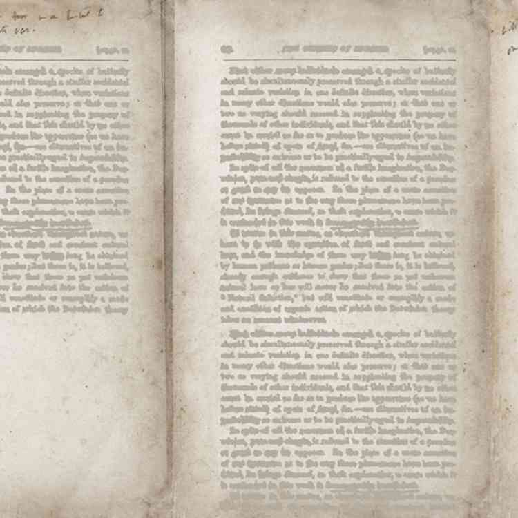 Wordless from Wall&decoat Pure Interiors