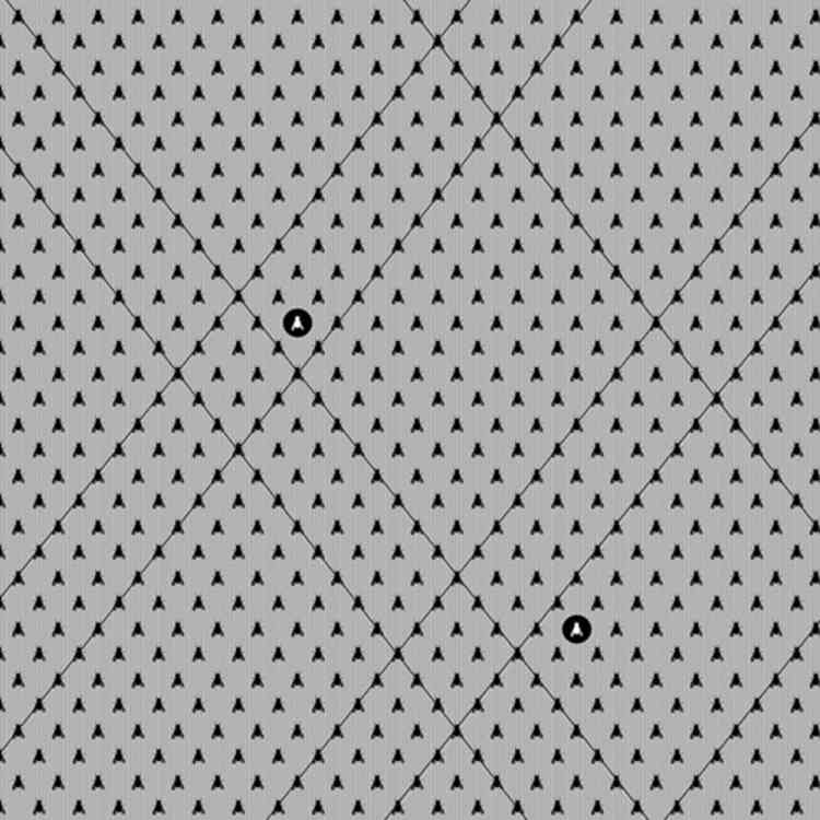 White Fly from Wall&decoat Pure Interiors