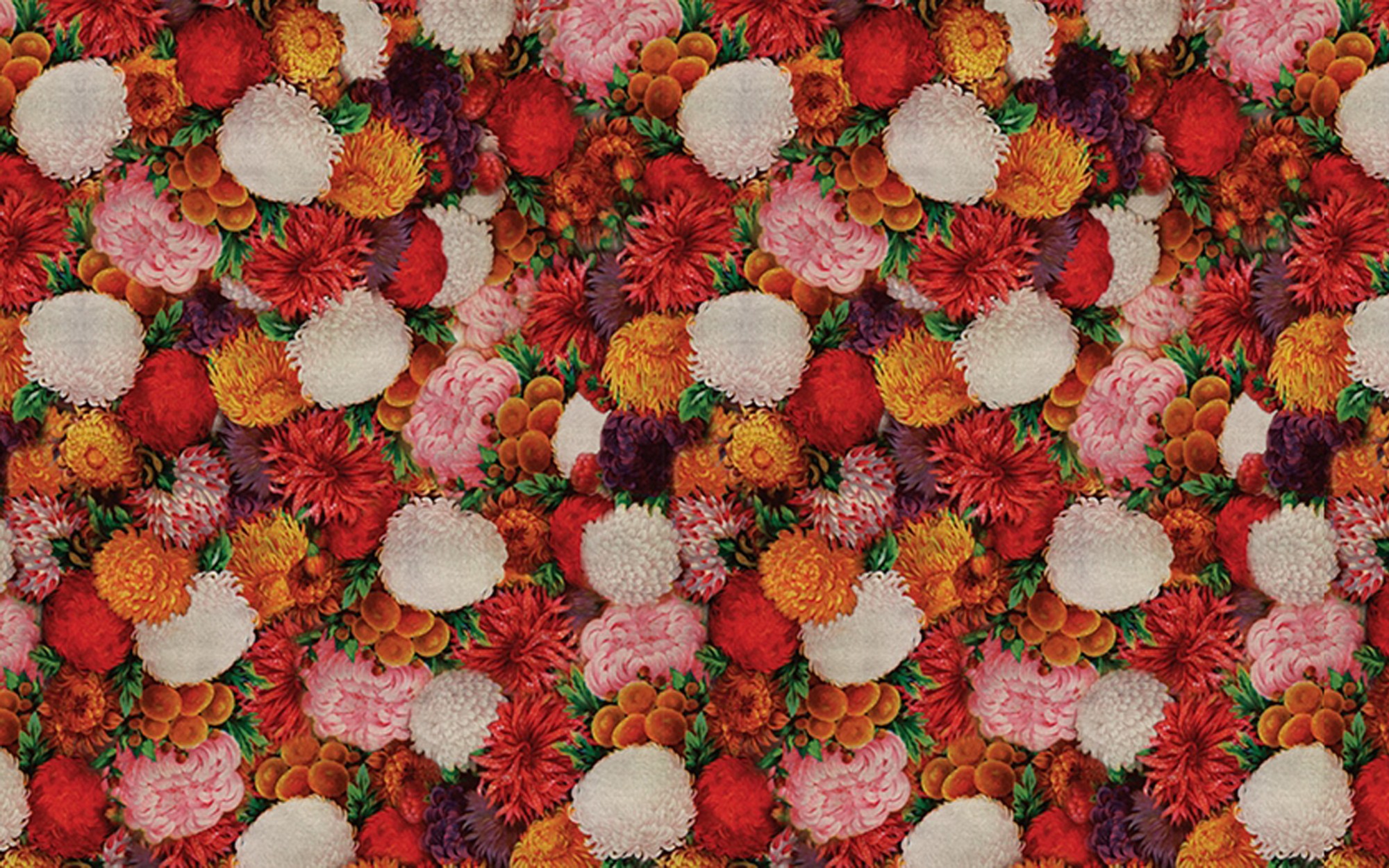 Hanami. Wallpaper - Outdoor/Wet from Wall&deco at Pure Interiors