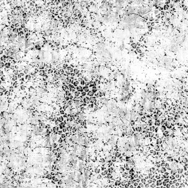 Chui from Wall&decoat Pure Interiors