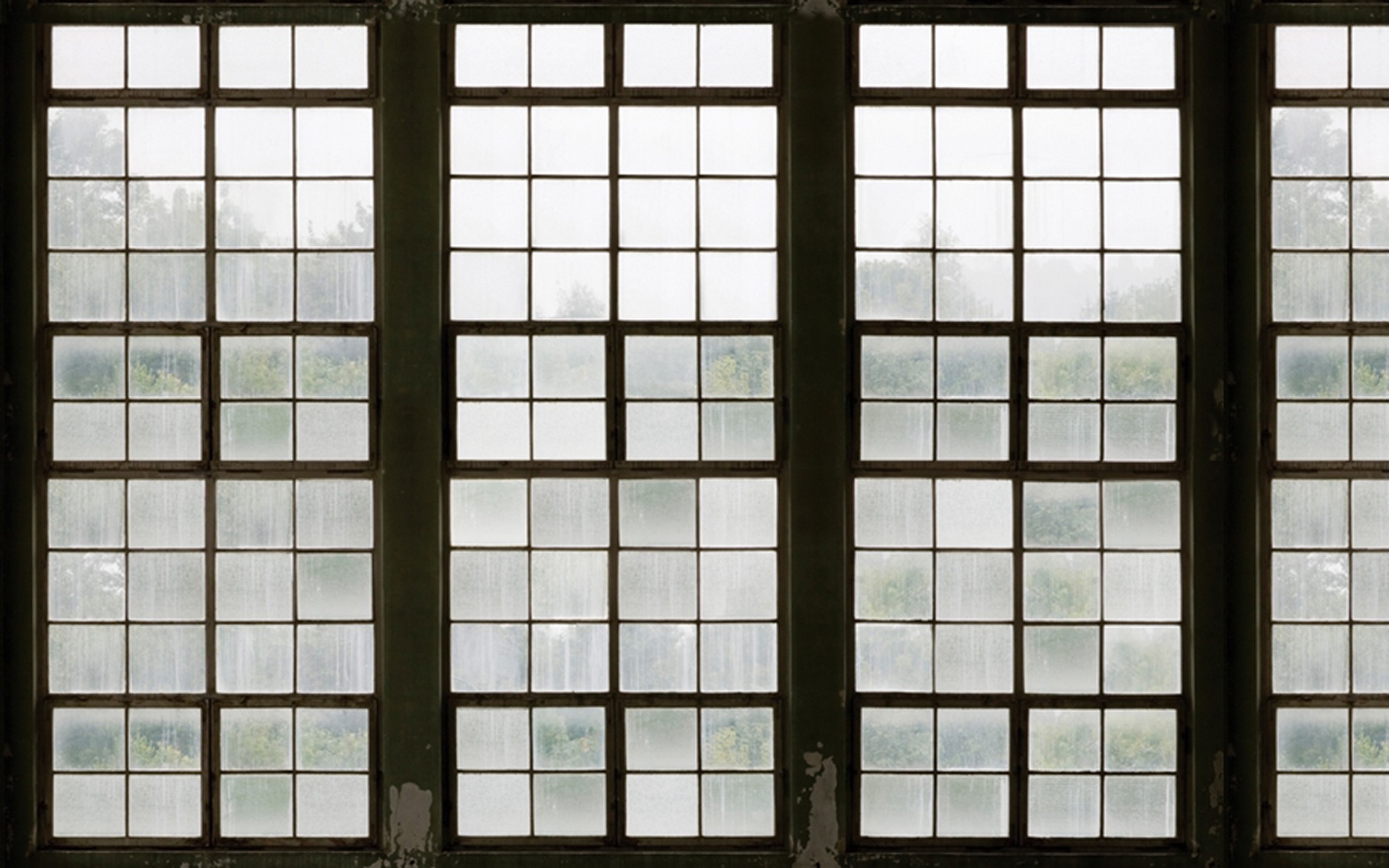 Durch. Wallpaper - Indoor from Wall&deco at Pure Interiors