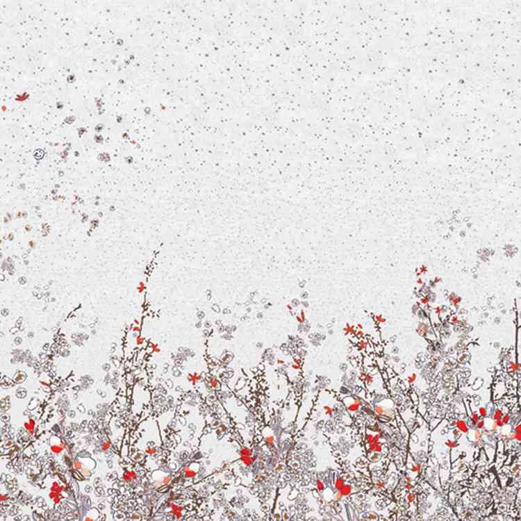 Momo from Wall&decoat Pure Interiors