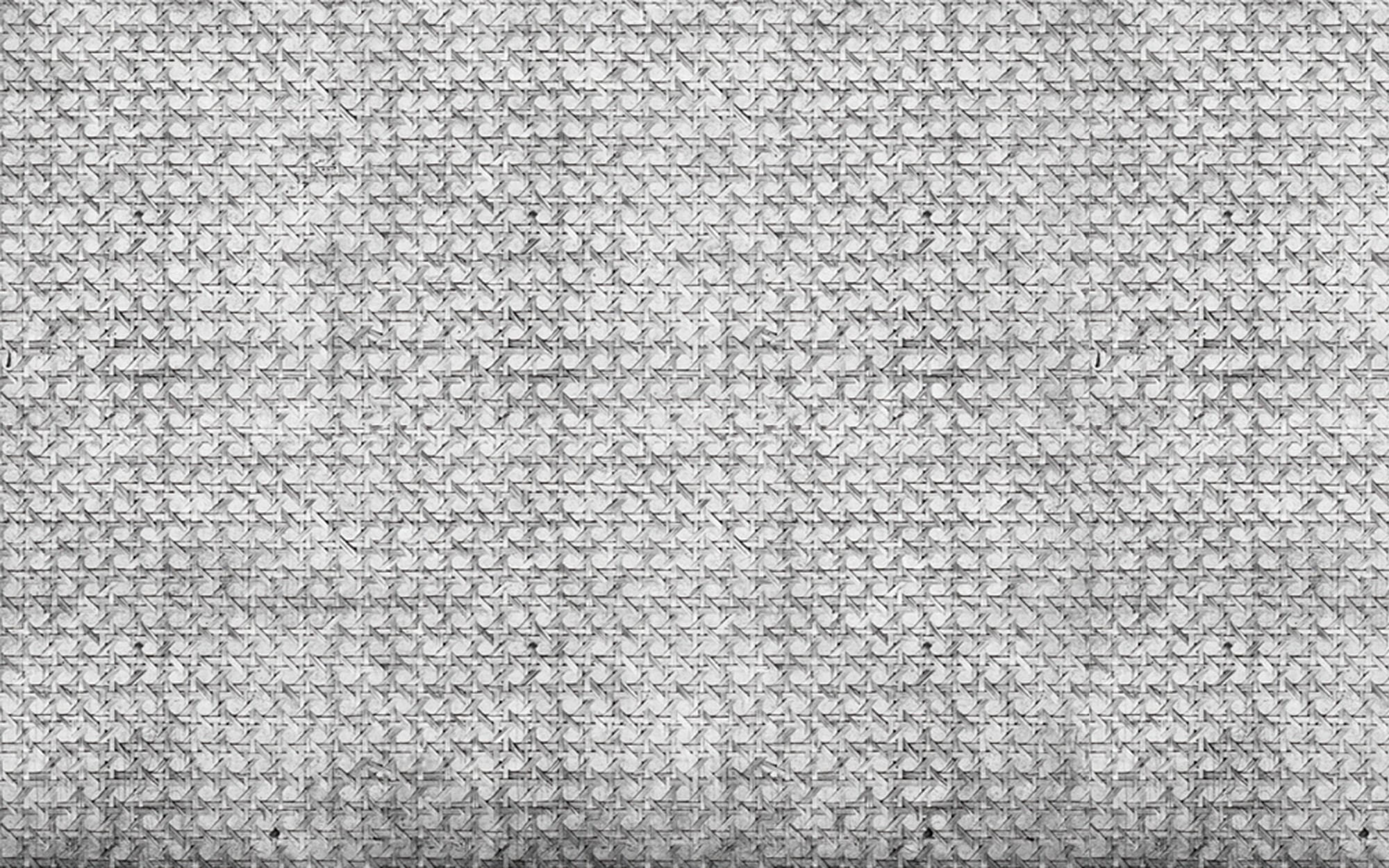 Sit In. Wallpaper - Indoor from Wall&deco at Pure Interiors