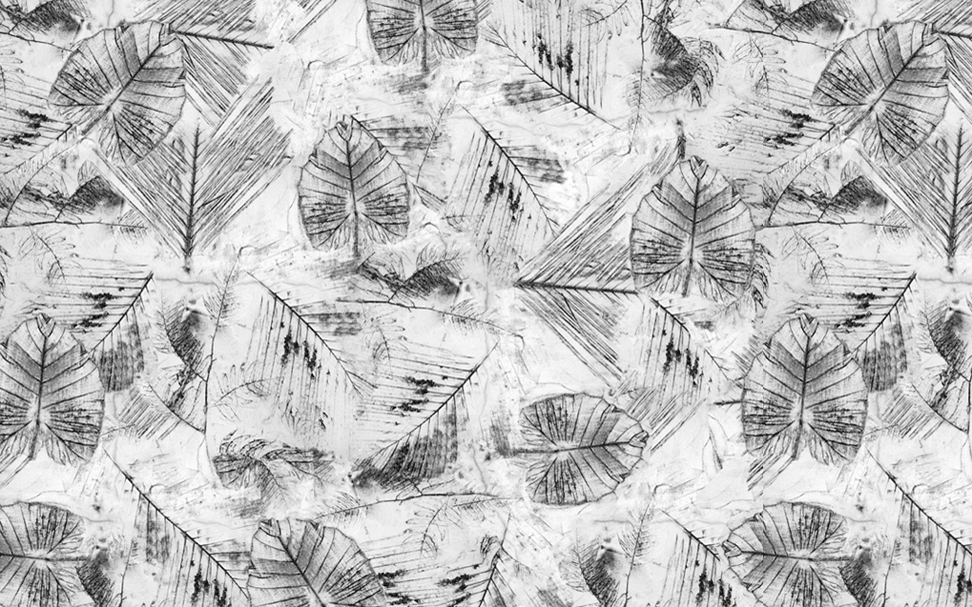 Traces. Wallpaper - Indoor from Wall&deco at Pure Interiors