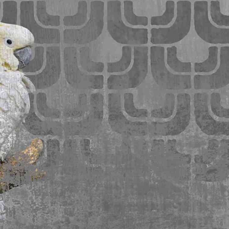 Cockatoo from Wall&decoat Pure Interiors