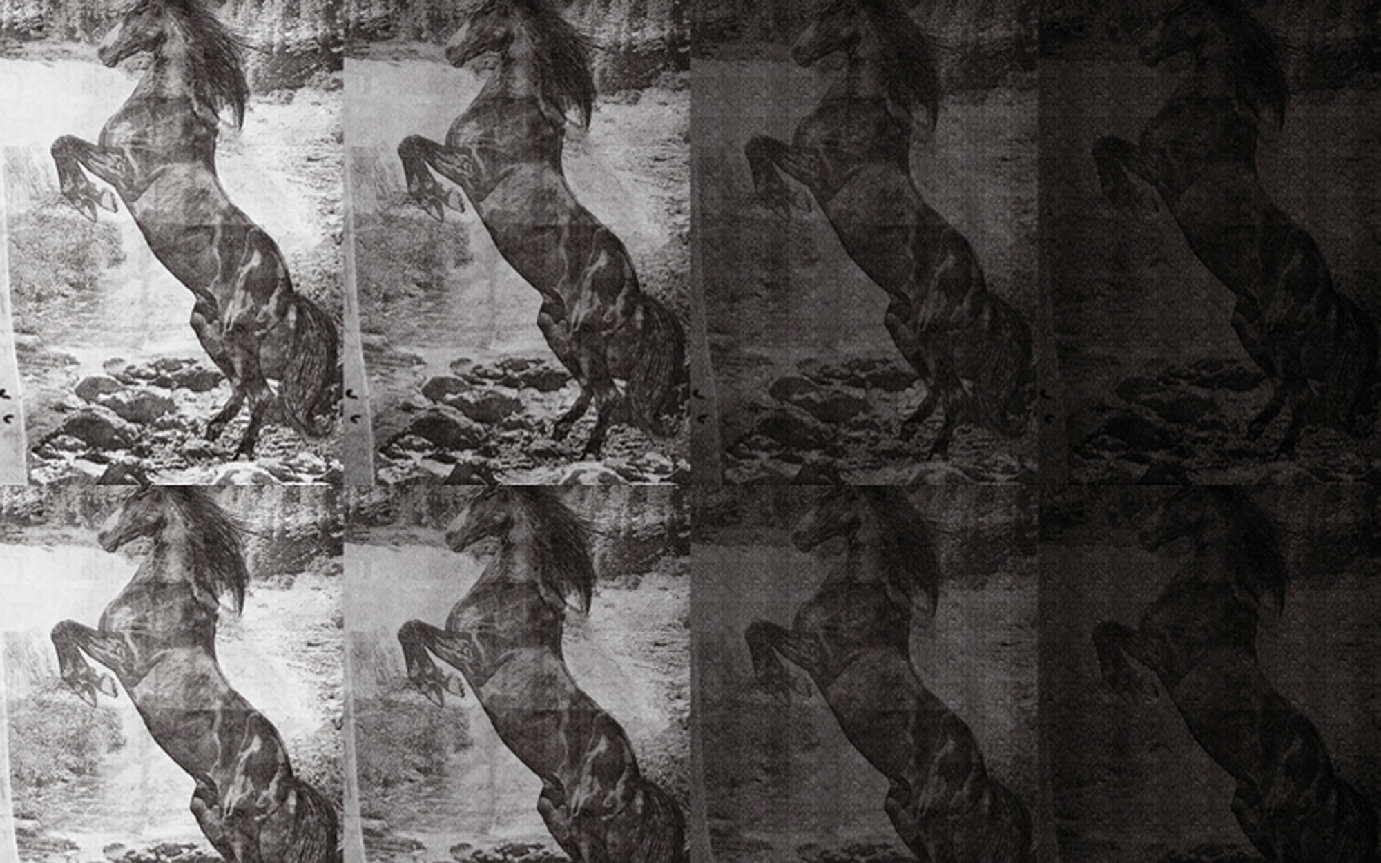 El Caballo de Andy. Wallpaper - Indoor from Wall&deco at Pure Interiors