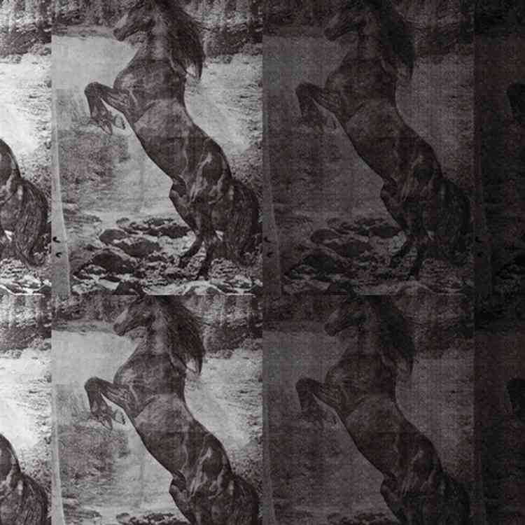 El Caballo de Andy from Wall&decoat Pure Interiors