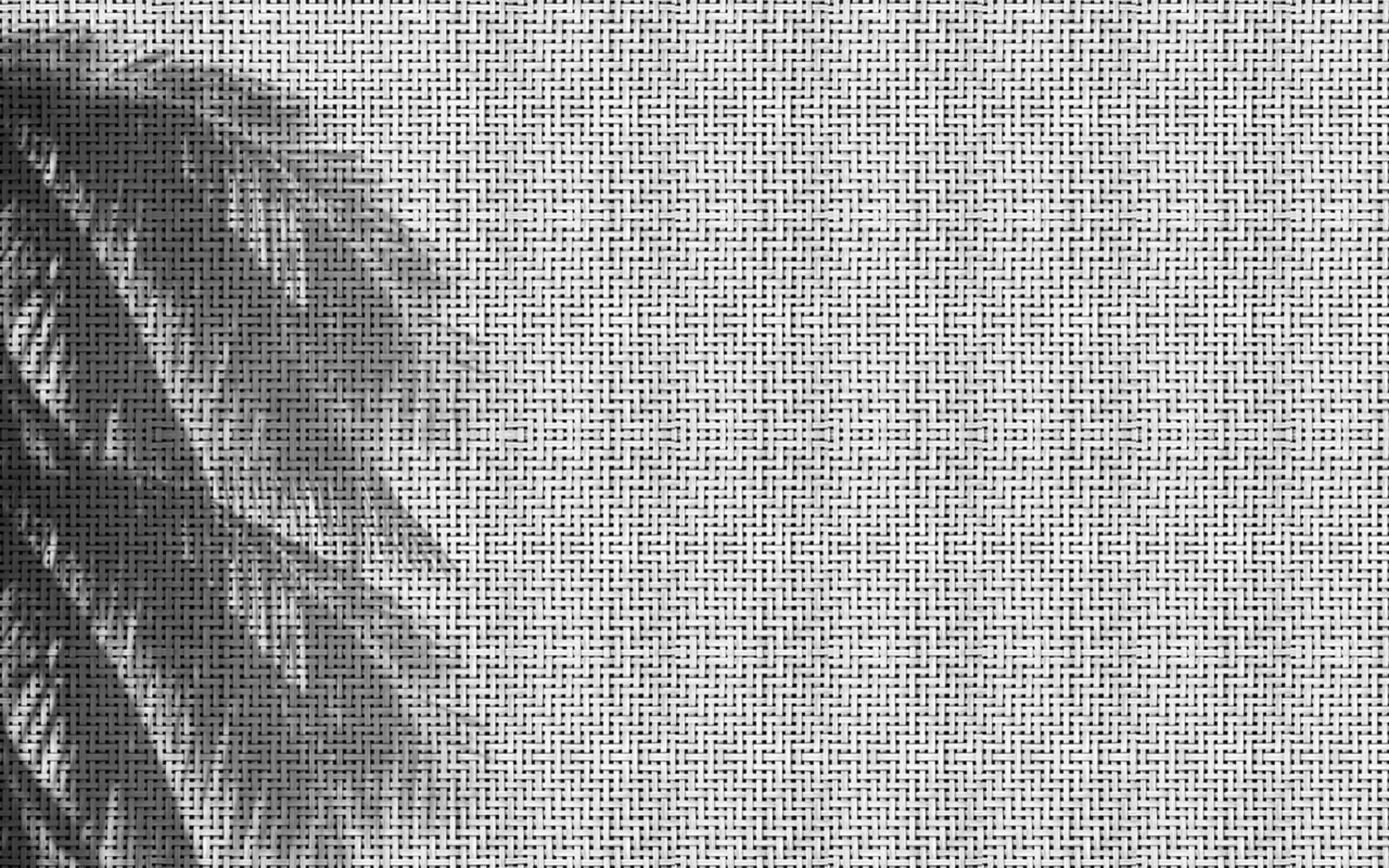 Coco Shadows. Wallpaper - Outdoor/Wet from Wall&deco at Pure Interiors