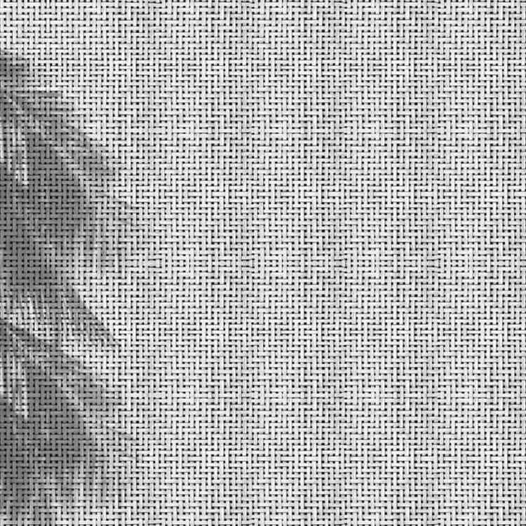 Coco Shadows by Wall&deco from Pure Interiors | 