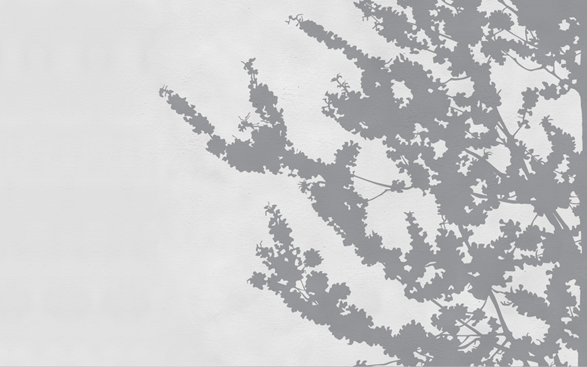 Frush. Wallpaper - Outdoor/Wet from Wall&deco at Pure Interiors