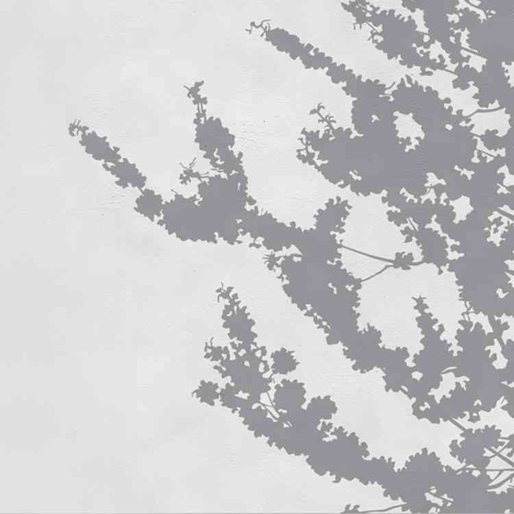 Frush by Wall&deco from Pure Interiors | 