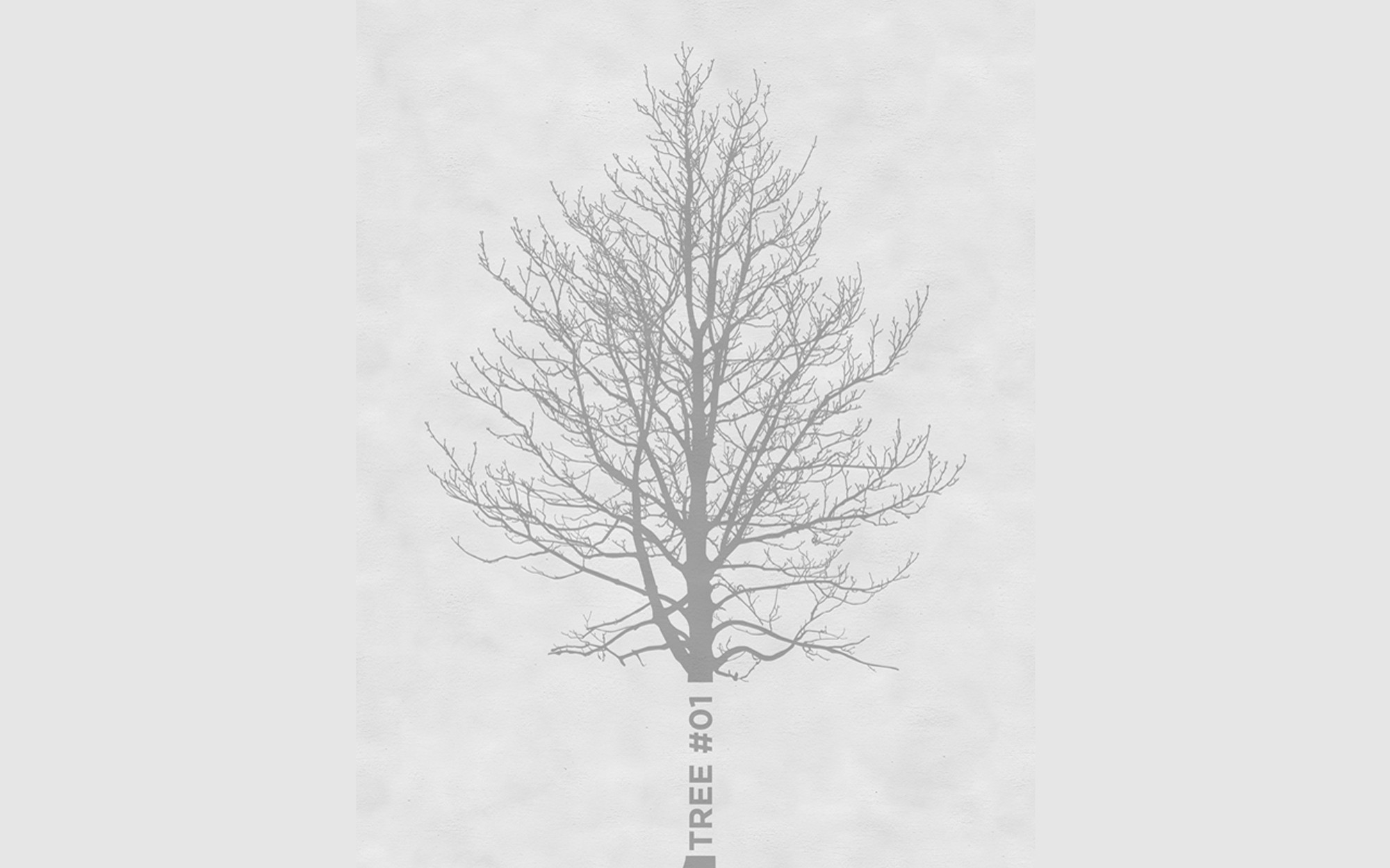 Tree. Wallpaper - Outdoor/Wet from Wall&deco at Pure Interiors