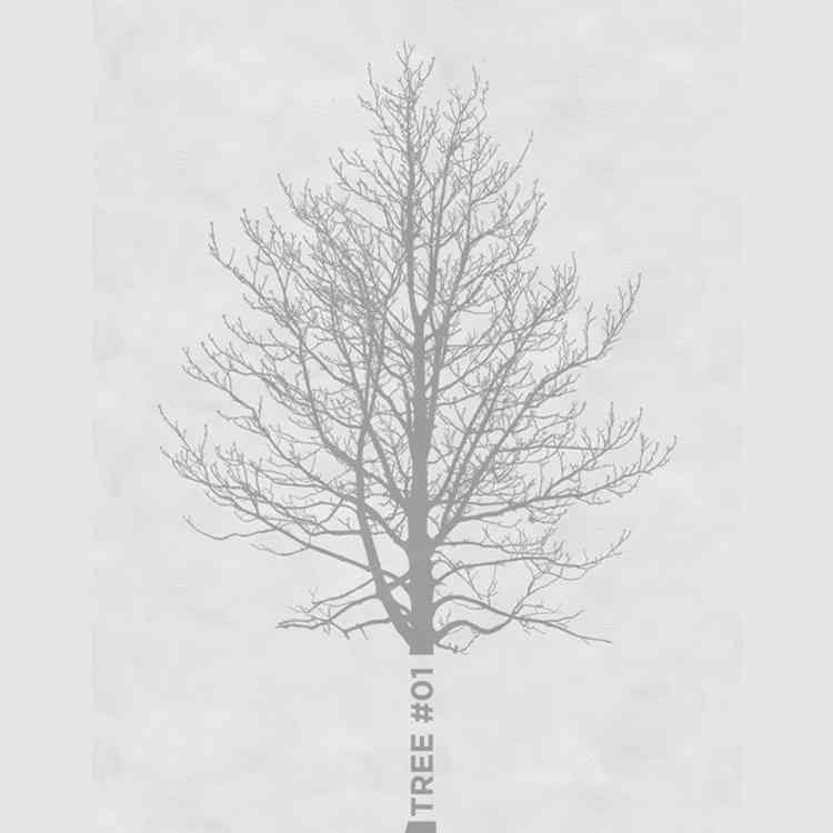 Tree by Wall&deco from Pure Interiors | 