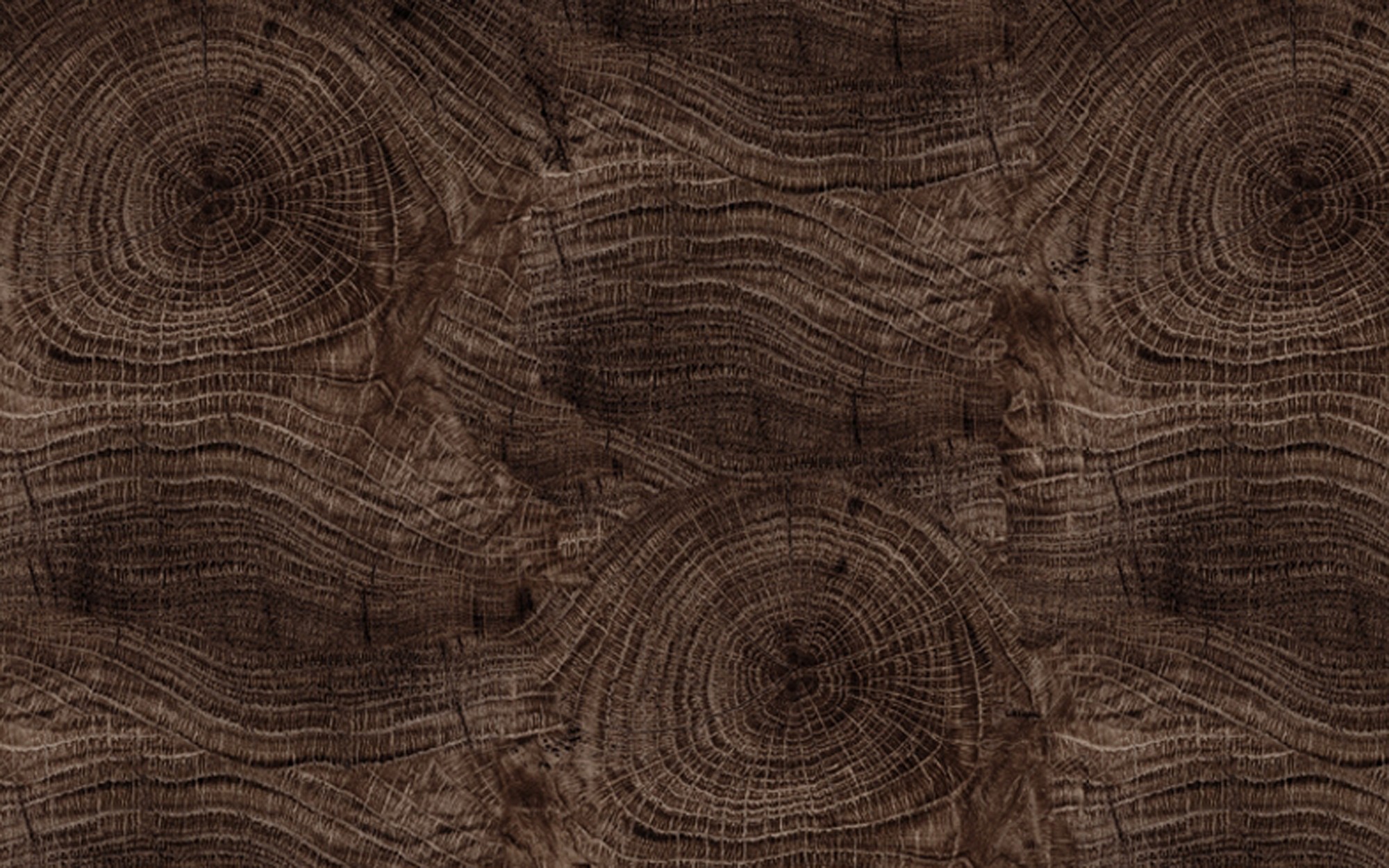 Life Lines. Wallpaper - Outdoor/Wet from Wall&deco at Pure Interiors