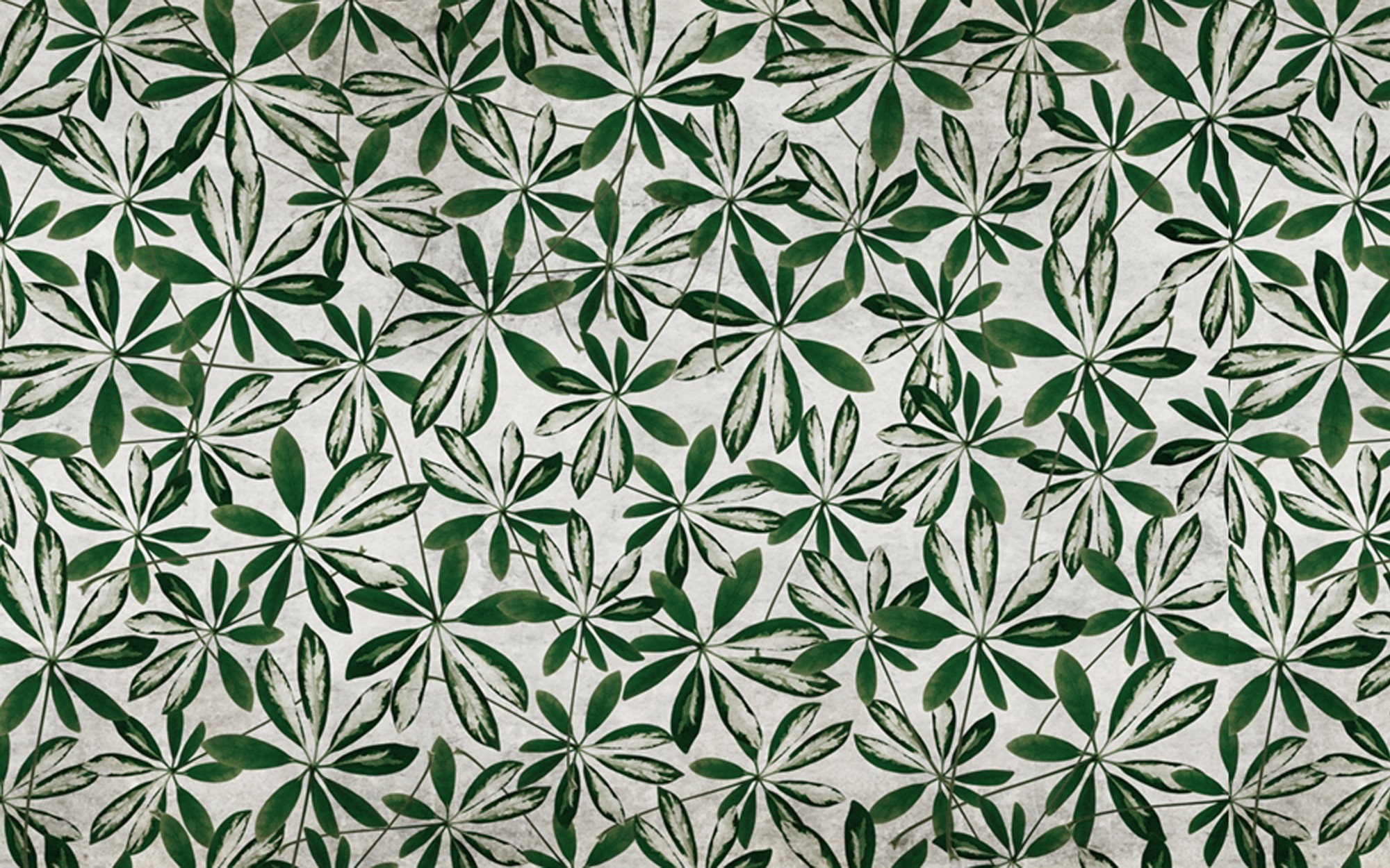 Jungle. Wallpaper - Indoor from Wall&deco at Pure Interiors