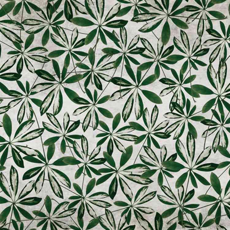 Jungle from Wall&decoat Pure Interiors