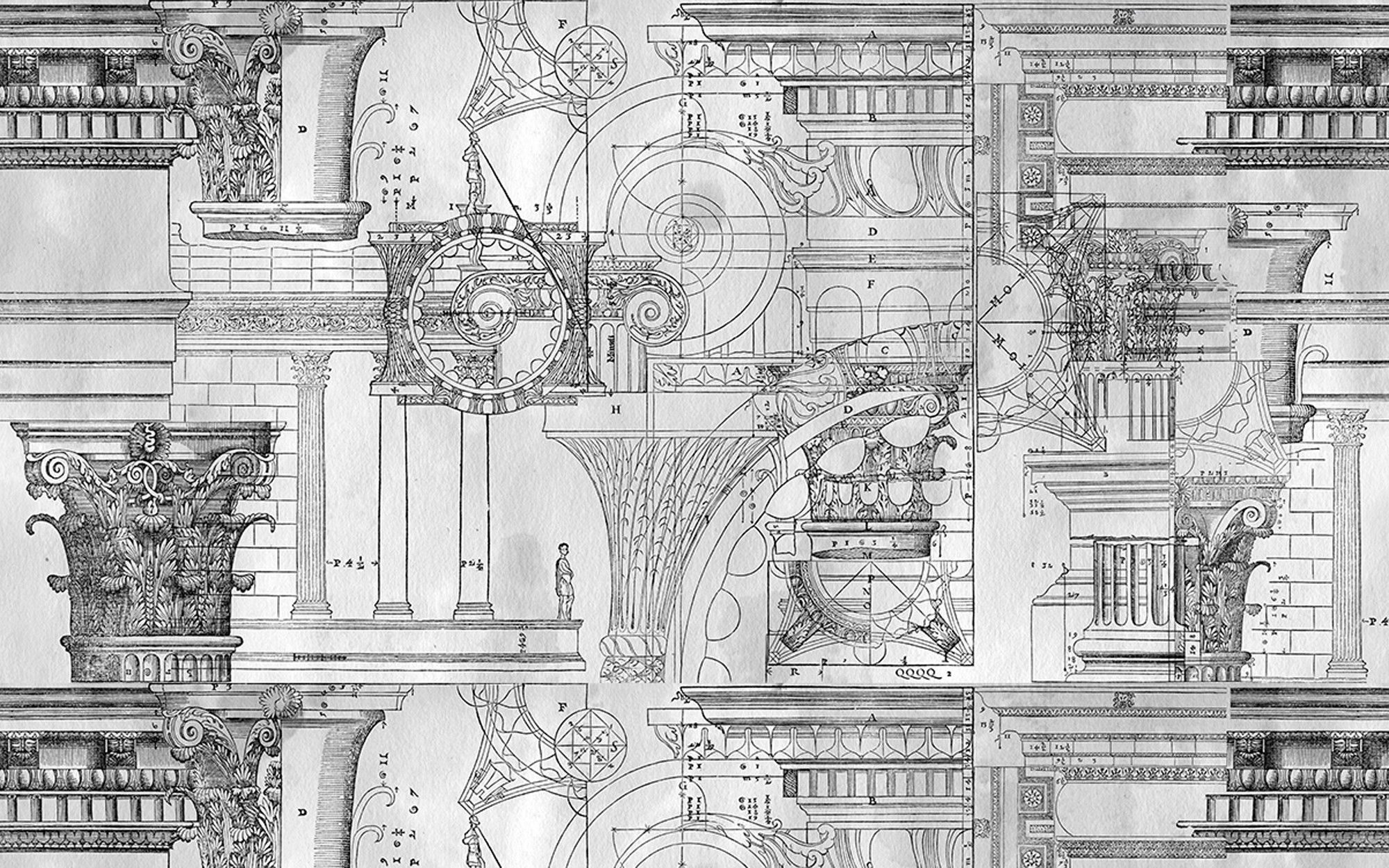 Antiqua. Wallpaper - Indoor from Wall&deco at Pure Interiors