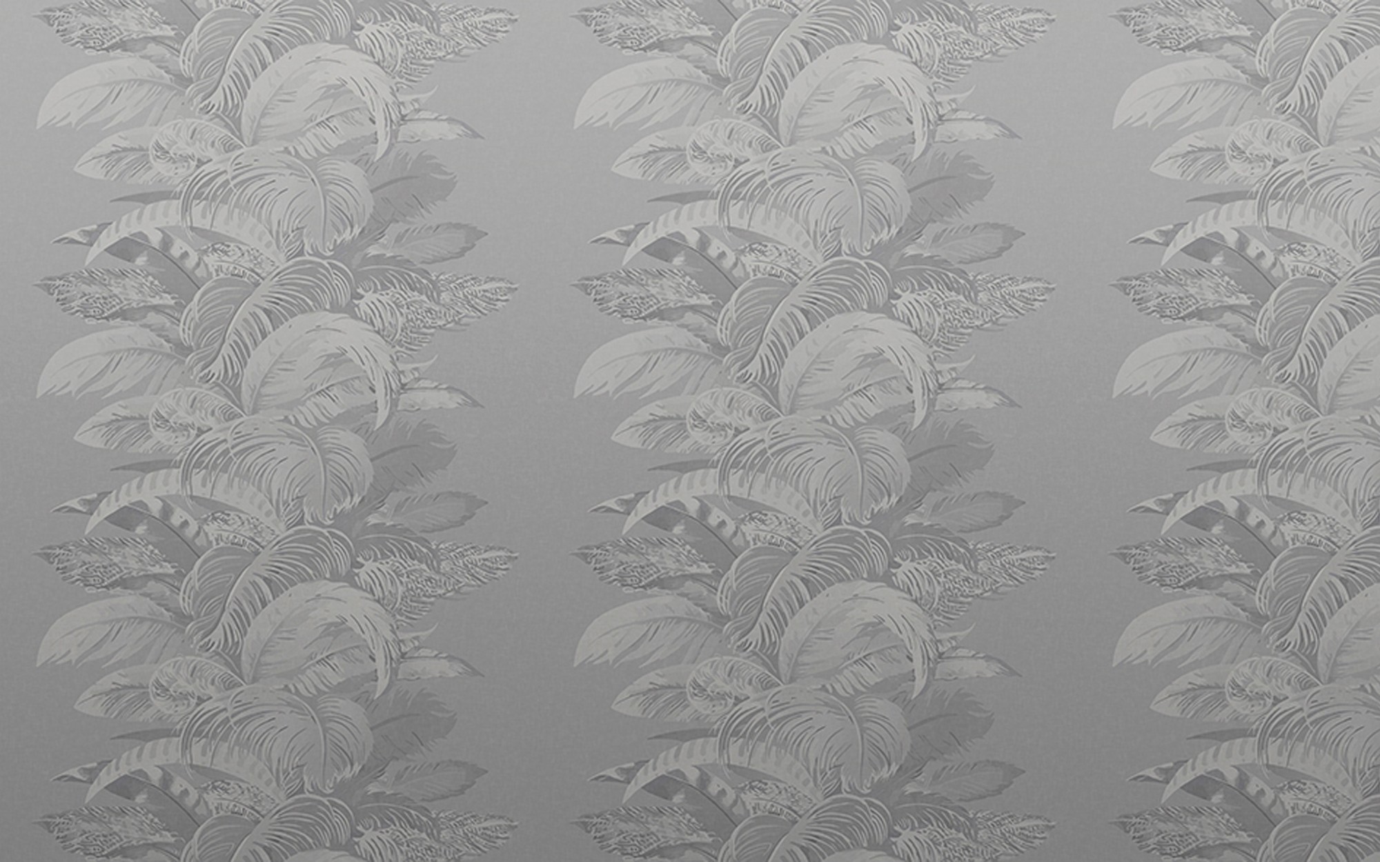 Can-Can. Wallpaper - Indoor from Wall&deco at Pure Interiors