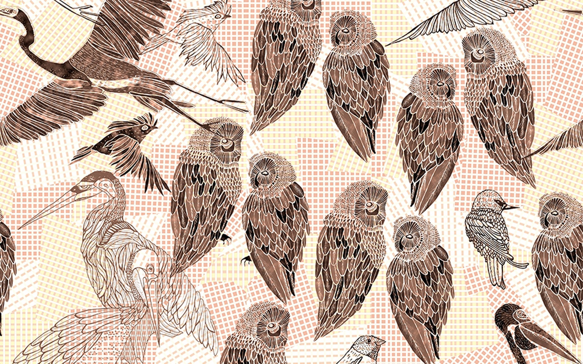 Pencil Birds. Wallpaper - Indoor from Wall&deco at Pure Interiors