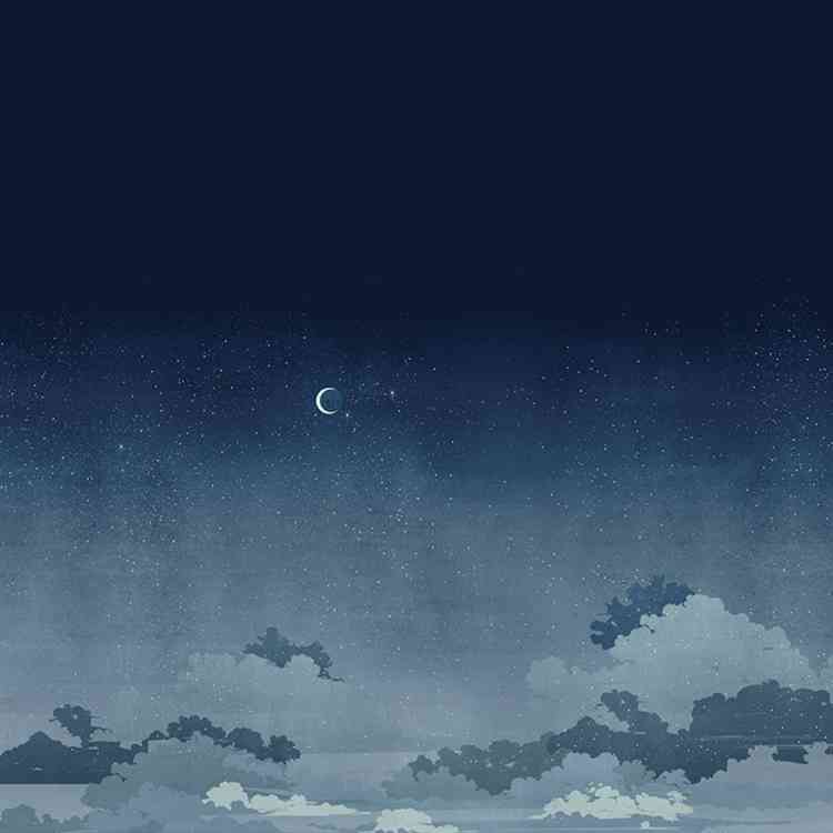 Notturno Blu from Wall&decoat Pure Interiors