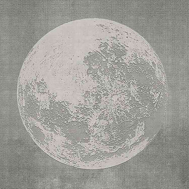 Luna Plena from Wall&decoat Pure Interiors 